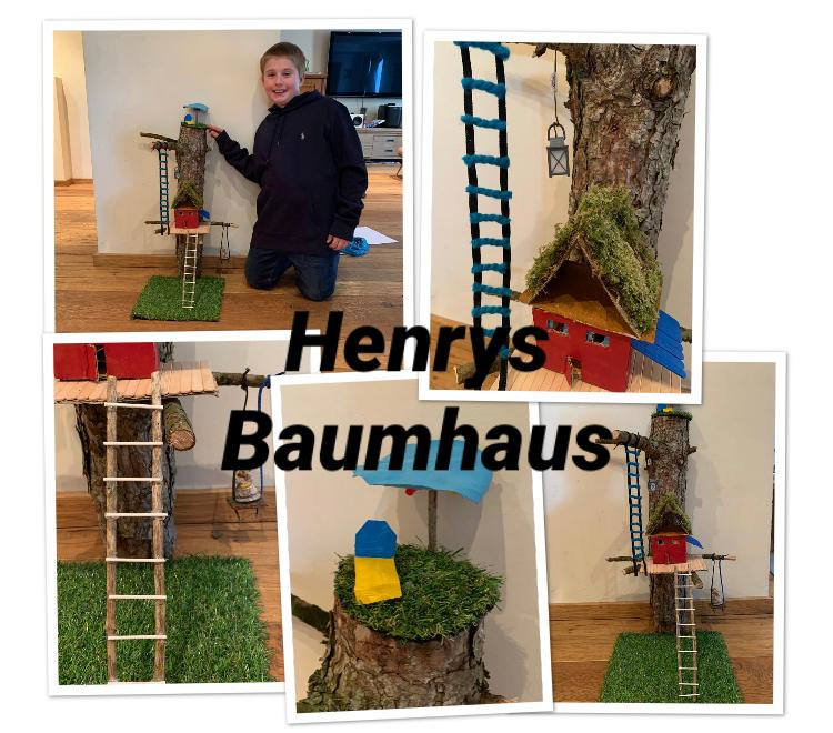 henry_4b